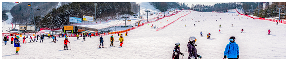 驚險刺激的冬季運動 韓國滑雪渡假村大集合