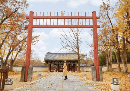 Enjoy Jeonju’s Unique Charms Day and Night!