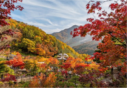Top 12 Picture Perfect Spots to Visit in Fall