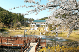 Get a Glimpse of the Korean Presidential Retreat