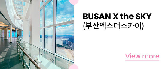 BUSAN X the SKY