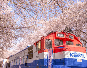 Jinhae Gunhangje Festival