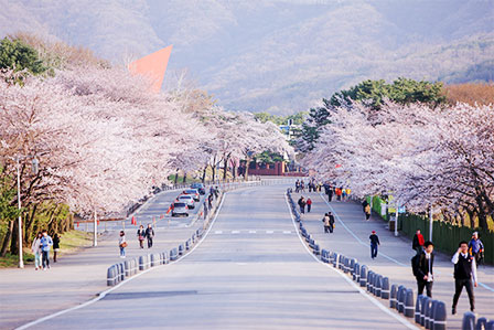 Gwacheon Seoul Grand Park