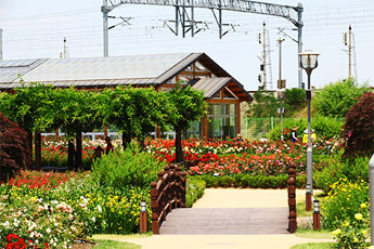 Gokseong Seomjingang Train Village