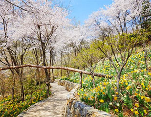 Gyeonggi-do Gwangju Hwadam Botanic Garden