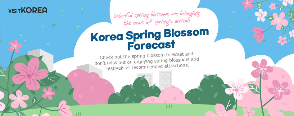 Colorful spring blossoms are bringing the news of spring’s arrival! Korea Spring Blossom Forecast Check out the spring blossom forecast and don’t miss out on enjoying spring blossoms and festivals at recommended attractions.