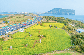 The mystical, natural attractions of Jeju Island, where you can get a picture of the day
