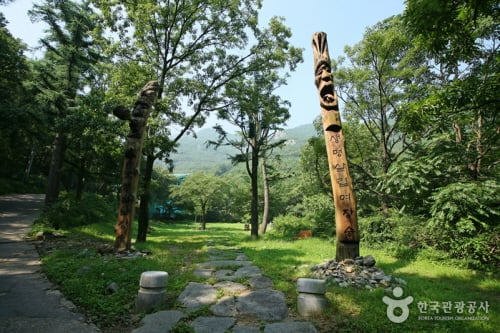 Daegu Apsan Park 