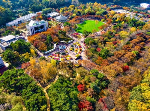 Daegu Arboretum